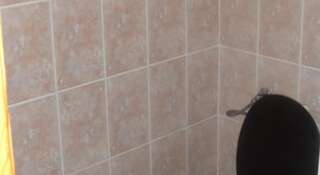 Гостевой дом Guesthouse Robin Лазаревское Четырехместный номер-2