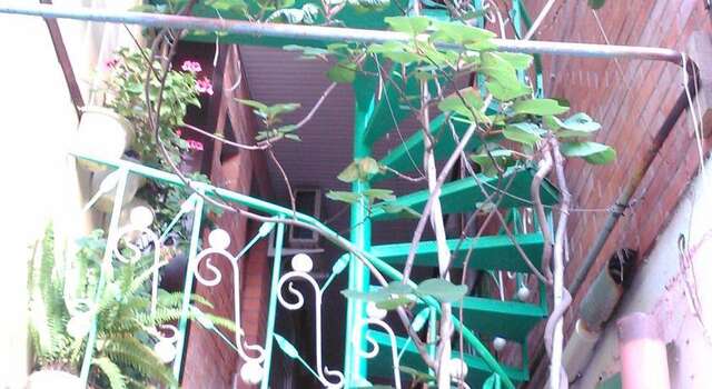Гостевой дом Guesthouse Robin Лазаревское-23